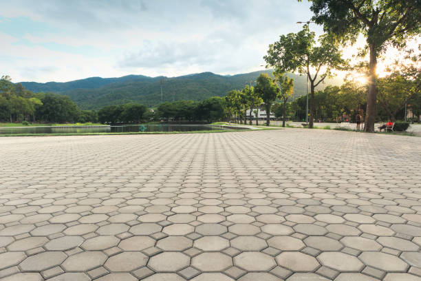 Best Permeable Paver Driveway  in West Canton, NC