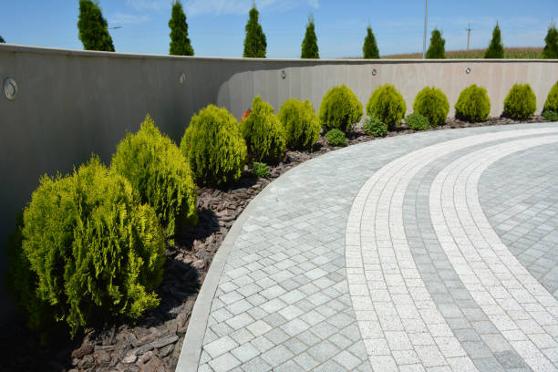 Best Affordable Driveway Paving  in West Canton, NC
